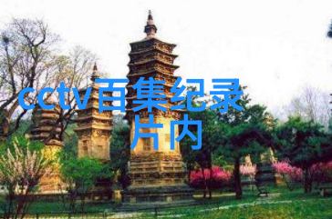 现代卷219巴基斯坦国的创建者